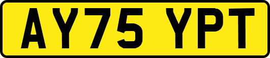 AY75YPT