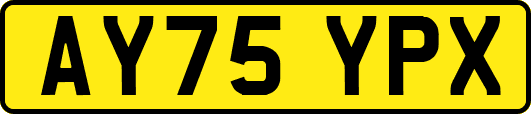AY75YPX
