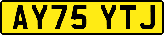 AY75YTJ