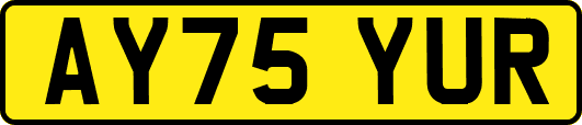 AY75YUR