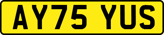 AY75YUS