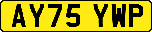 AY75YWP