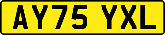 AY75YXL