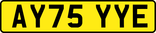 AY75YYE