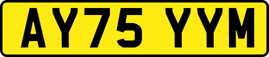 AY75YYM