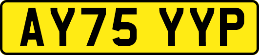 AY75YYP