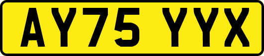 AY75YYX