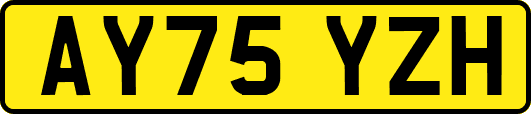 AY75YZH