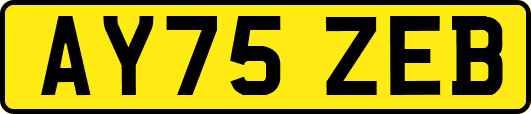 AY75ZEB