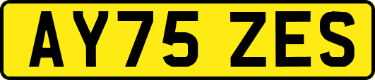 AY75ZES