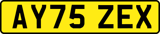 AY75ZEX