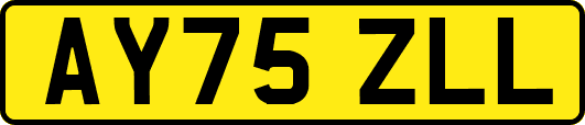 AY75ZLL