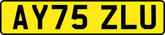 AY75ZLU