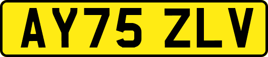 AY75ZLV