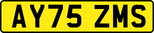 AY75ZMS