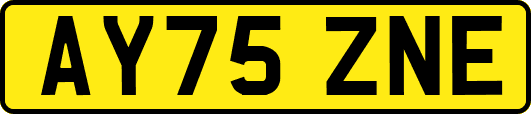 AY75ZNE