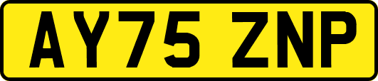 AY75ZNP