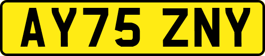 AY75ZNY