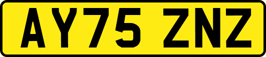AY75ZNZ