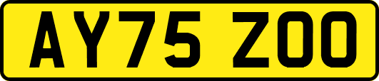 AY75ZOO