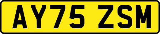 AY75ZSM