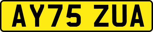 AY75ZUA