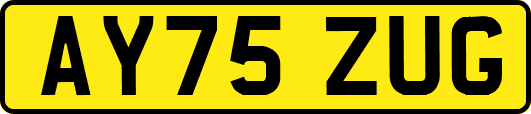 AY75ZUG