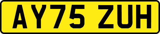 AY75ZUH