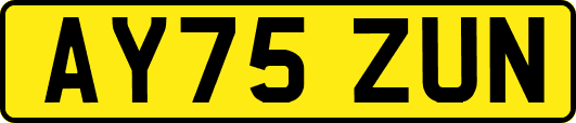 AY75ZUN