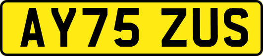 AY75ZUS