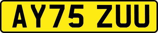 AY75ZUU