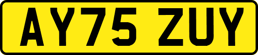 AY75ZUY
