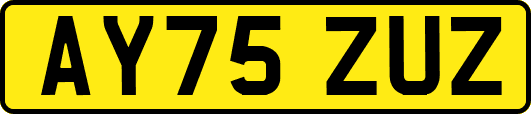 AY75ZUZ