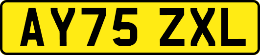 AY75ZXL