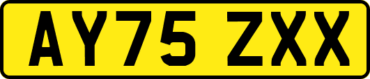 AY75ZXX