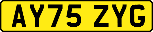 AY75ZYG