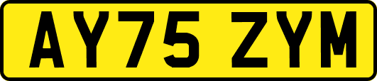 AY75ZYM