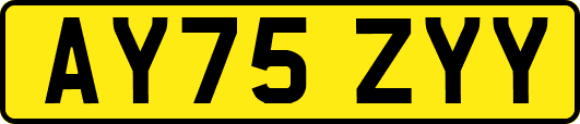 AY75ZYY