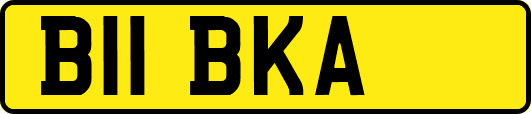 B11BKA