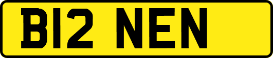 B12NEN