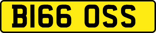 B166OSS
