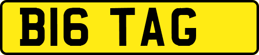 B16TAG