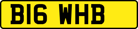 B16WHB