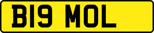B19MOL