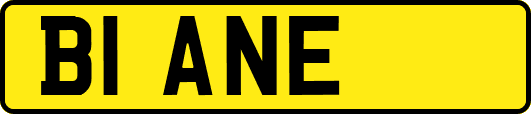 B1ANE
