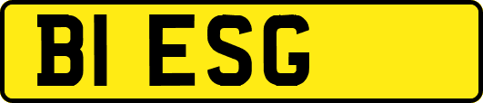 B1ESG