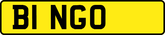 B1NGO