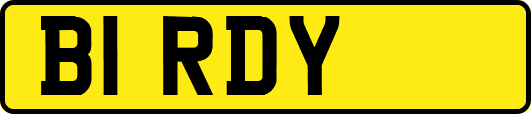 B1RDY