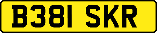 B381SKR
