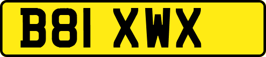 B81XWX